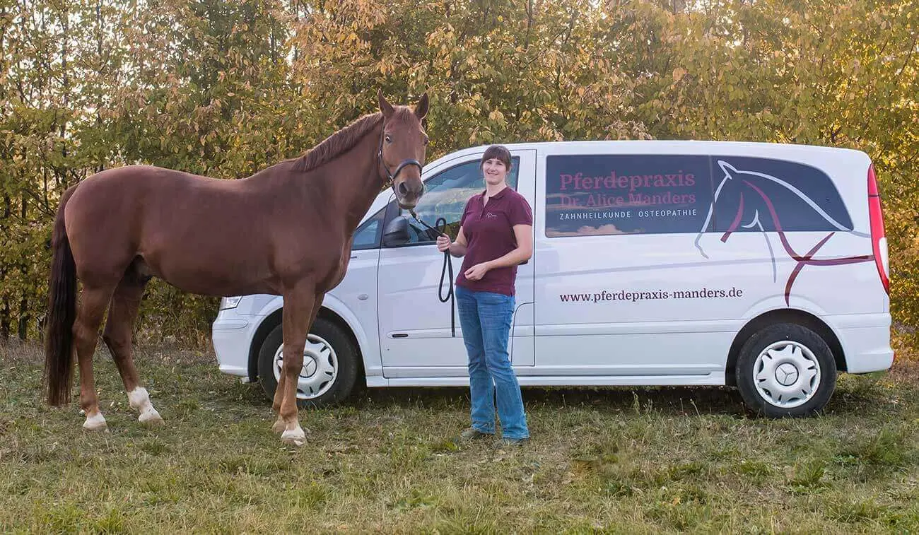 Fahrzeugbeschriftung Tierarzt